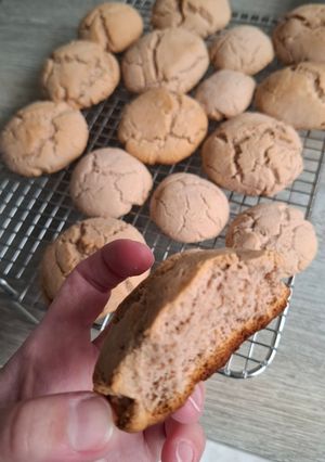Foto de Biscoitos de Maisena, whey e creatina