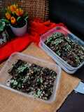 Cococrunch Pandan Kacang Coklat