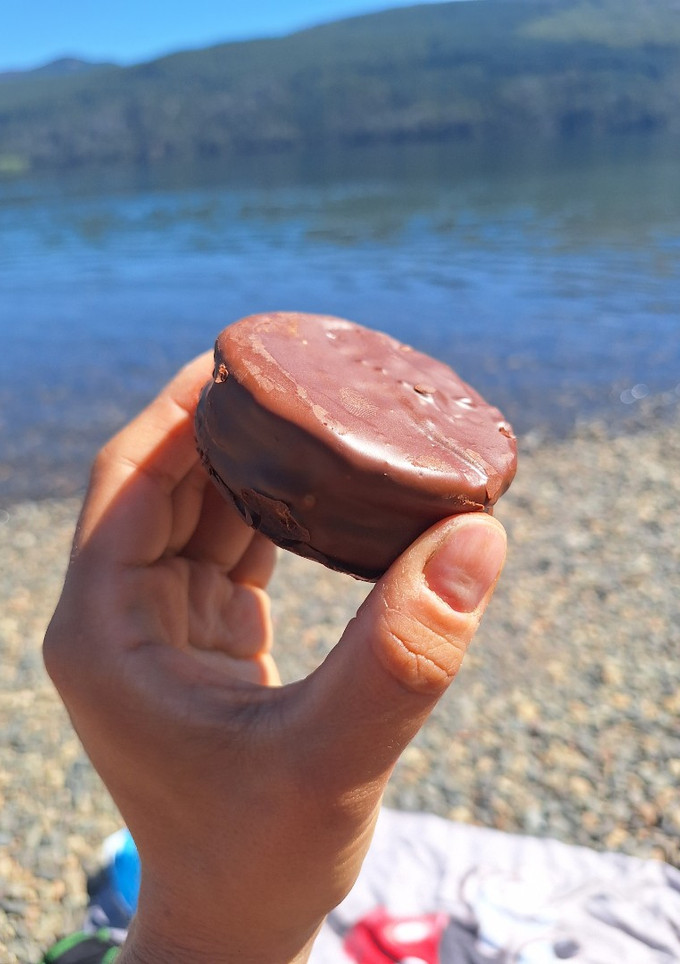 Una foto de Alfajores 🥯 🤎 veganos 🌱