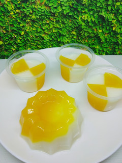 Foto resep Puding Jeruk Lapis Susu