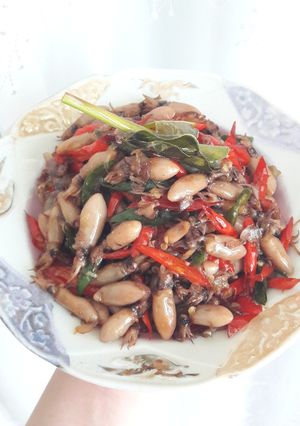 Foto resep Tumis Cumi Asin Cabe Merah Hijau