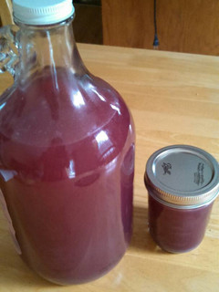 A picture of Black grapes rose Kvass.