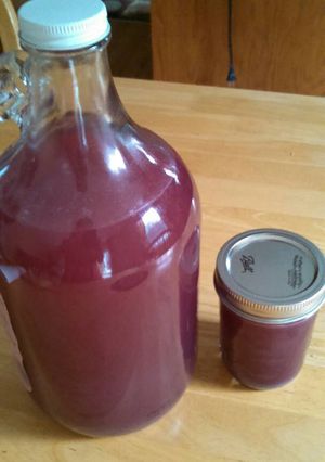 A picture of Black grapes rose Kvass.