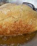 Gà không lối thoát