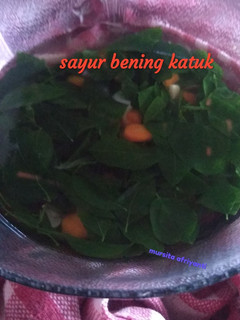 Foto resep Sayur Bening Katuk