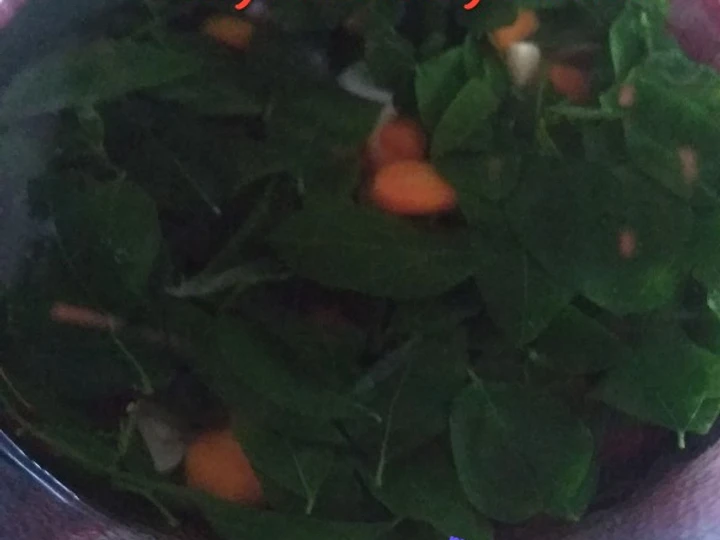 Cara Mudah Menyiapkan Resep  Sayur Bening Katuk yang Bikin Ngiler, Enak Banget