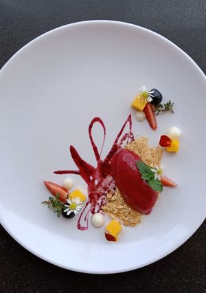 Foto resep Mulberry Sorbet