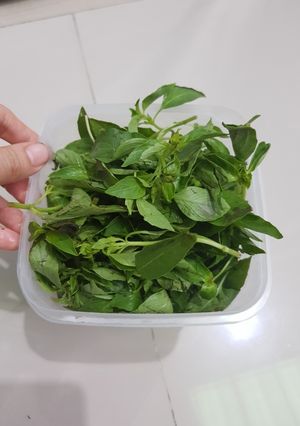 Foto resep Tips Dapur #02 Menyimpan kemangi lebih tahan lama