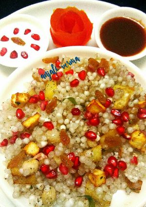 A picture of Shahi Sago Biryani.