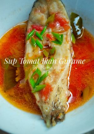 Foto resep Sup Tomat Ikan Gurame (MPASI 1 Tahun +)