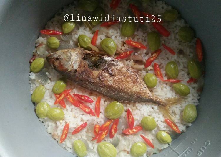 Nasi Liwet Ikan Asin Peda