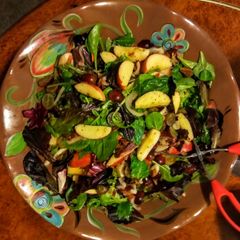 A picture of Bacon apple cider salad.