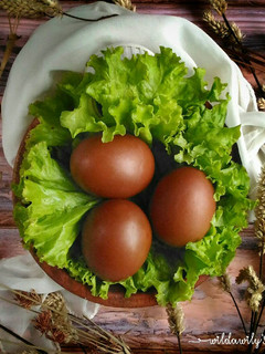 Foto resep Pindang Telur