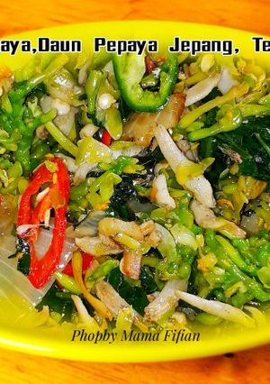 Foto resep Tumis Bunga Pepaya, Daun Pepaya Jepang, Teri Saos Tiram