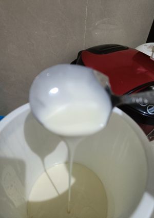 Foto resep #219 Homemade Yoghurt (2 bahan)