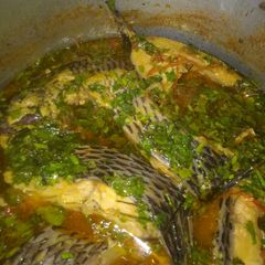 Fresh fish stew A picture of Fresh fish stew.