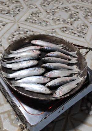 عکسی از دستور ماهی برشته گاریز به روش قشمی