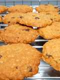 🍪🍪 Crunchy Oatmeal Cookies 🍪🍪