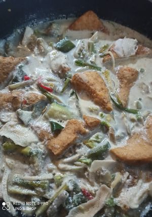 Foto resep Lodeh boros🤭
