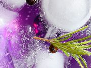 Una foto de flor comestible