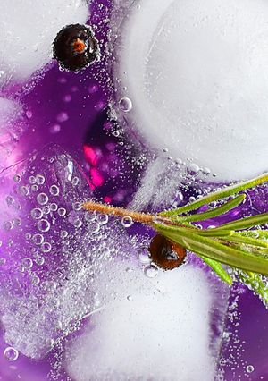 Una foto de Receta española de (Gin-tonic) ginebra y tónica