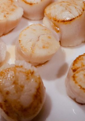香煎干貝 的食譜成品照片