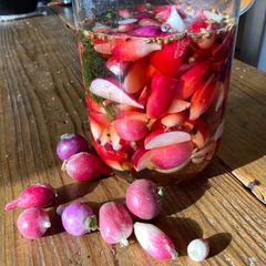 A picture of Radish Quick Pickles.