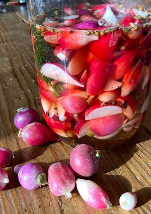 A picture of Radish Quick Pickles.