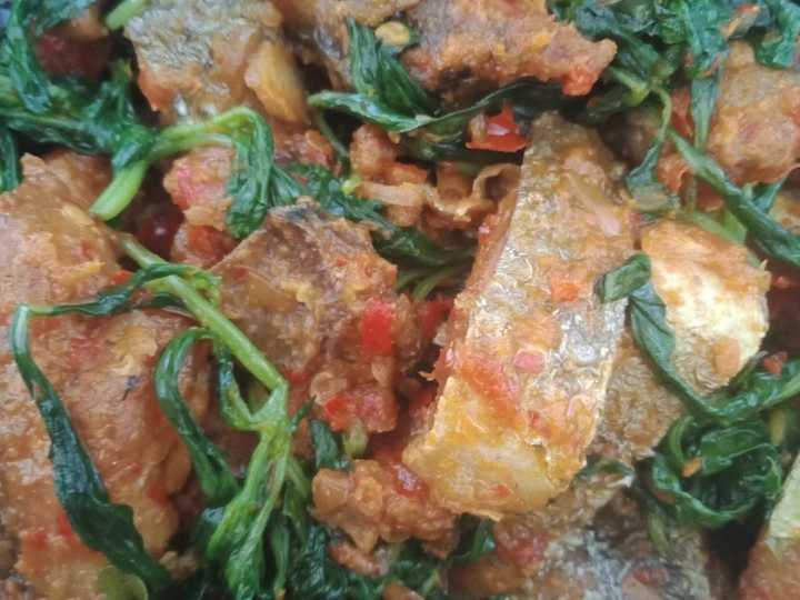Cara Mudah Menyiapkan Resep Balado Tongkol Kemangi yang Bisa Manjain Lidah Anti Ribet, Lezat