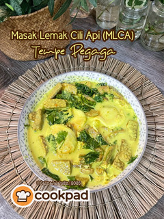 Gambar MLCA Tempe Pegaga