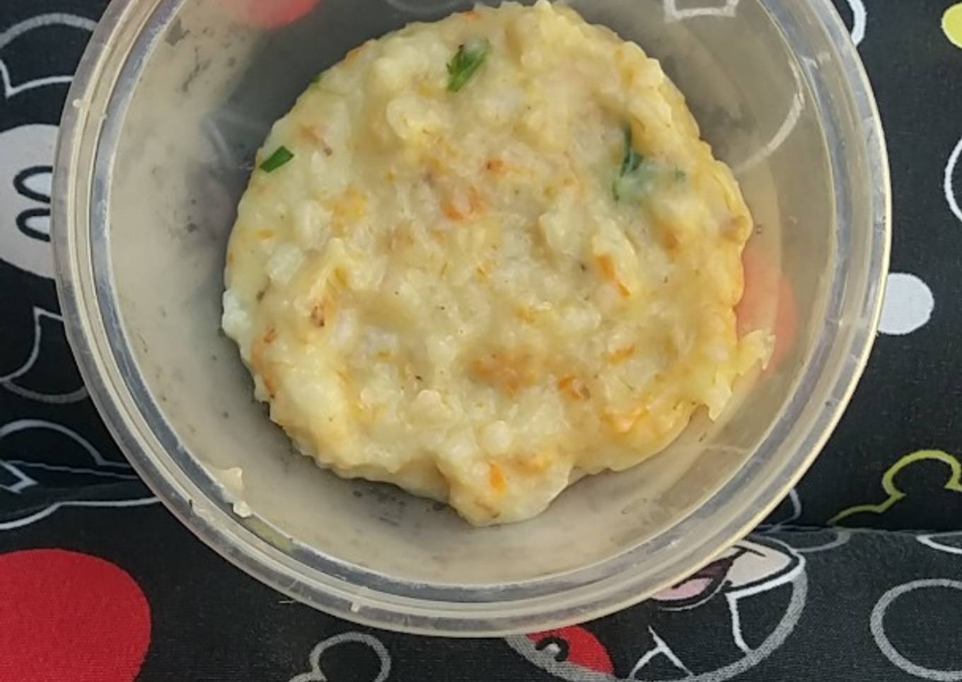 Bubur mpasi 10+