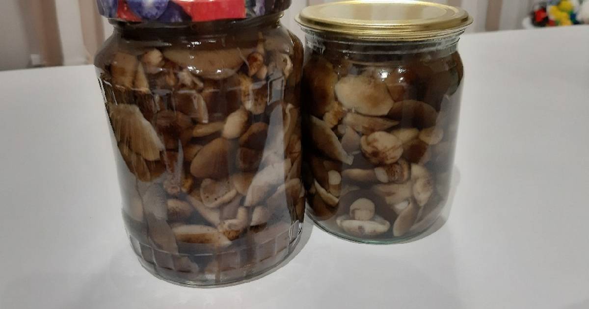 Соленые и маринованные грибы. Опята с чесноком на зиму рецепты. Опята с чесноком на зиму рецепты. Опята с чесноком на зиму рецепты. Маринад для опят вкусный.