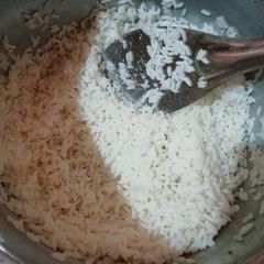 Rice A picture of Rice.