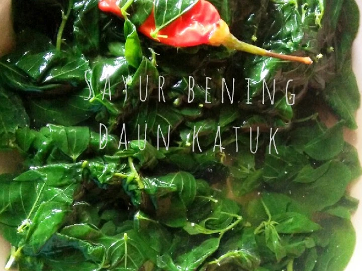 Langkah Gampang Membuat Resep  #185. Sayur Bening Daun Katuk yang Lezat Sekali, Enak