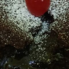 A picture of Brownie.