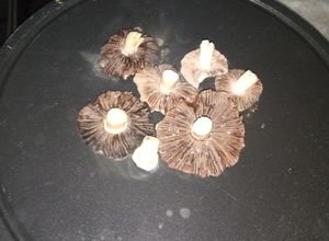 صورة لوصفة فطر بري