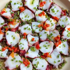A picture of Octopus Carpaccio.