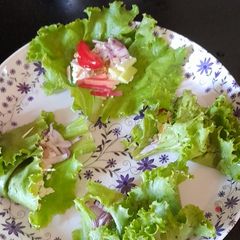A picture of Lettuce Salad Packet.