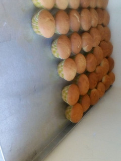 A picture of Vanilla cupcakes😋😋.