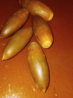 عکسی از دستور بلوط کبابی