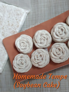 Foto resep Homemade Tempe (Soybean Cake)