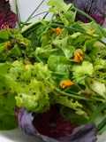 Ensalada La Huerta de Olot (Mercado magnífico donde encontrar variedades ecológicas deliciosas