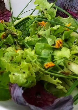 Una foto de Ensalada La Huerta de Olot (Mercado magnífico donde encontrar variedades ecológicas deliciosas