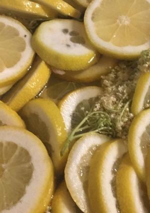 Bodzaszörp télire recept fotója