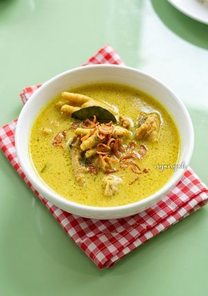 Foto resep Opor Ceker dan Leher Ayam