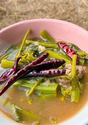 รูปของ จอผักกาด