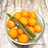 Kolak Ubi Kuning| Kolak Biji Salak