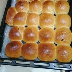 A picture of Rolls.