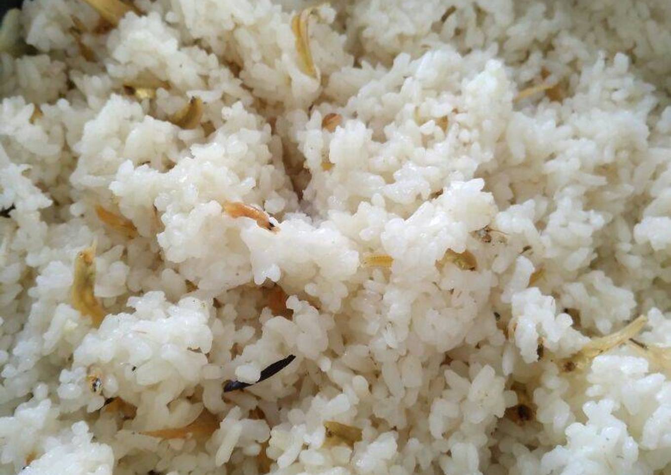 Nasi Levitt (magiccom)