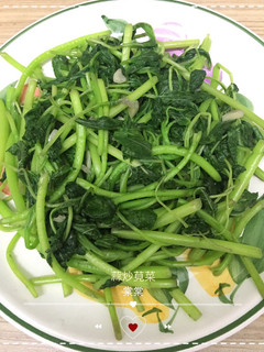蒜炒莧菜 的食譜成品照片